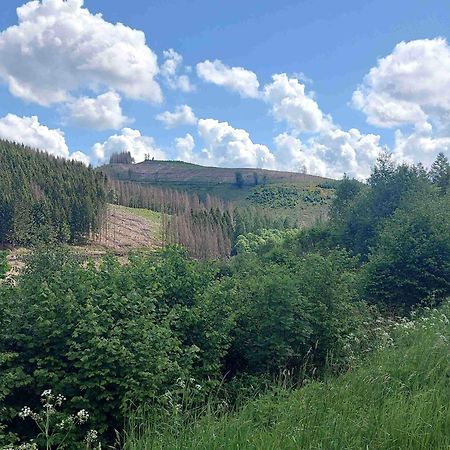 Holiday Apartment With Terrace In Winterberg Exteriör bild