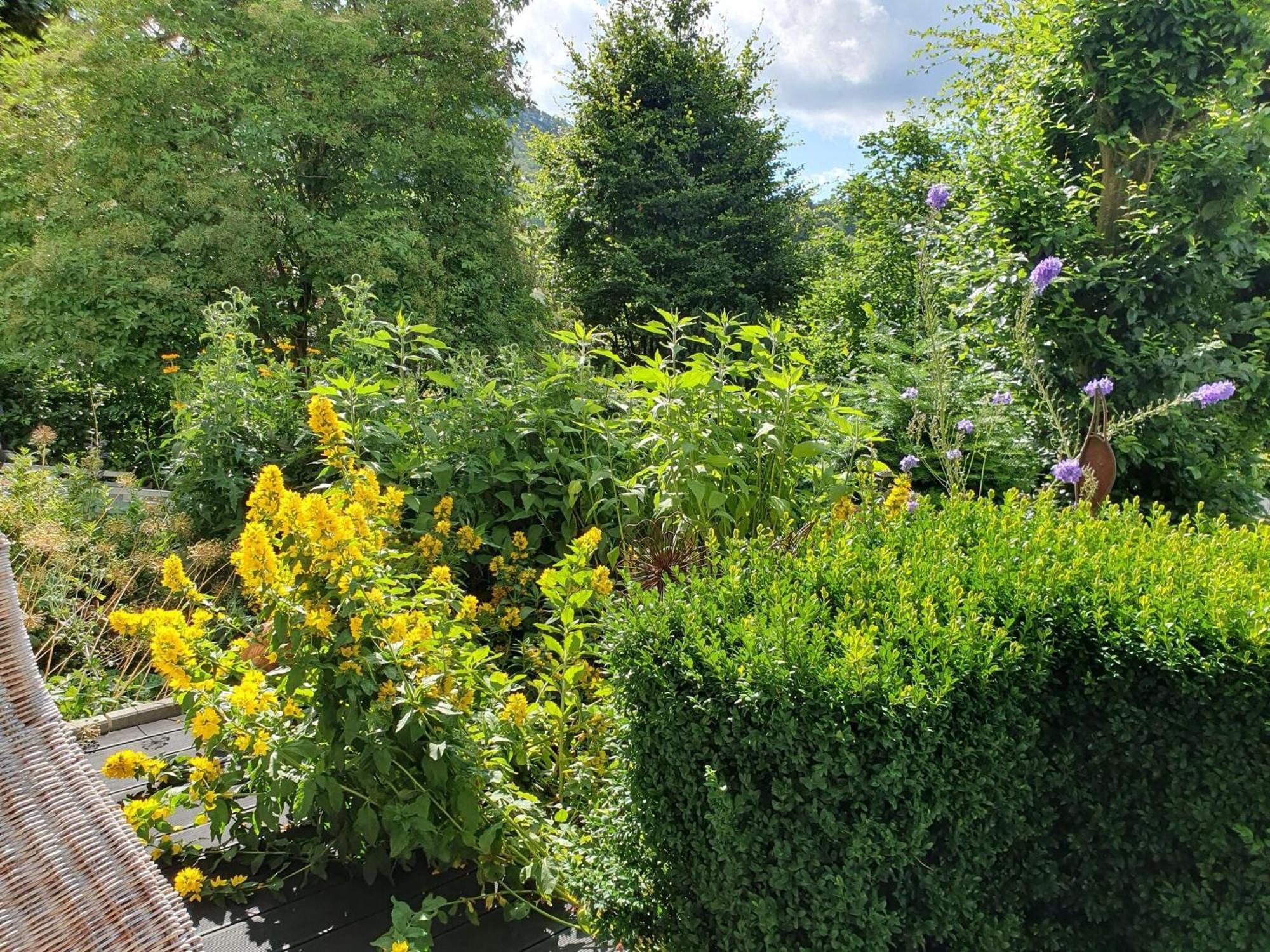 Holiday Apartment With Terrace In Winterberg Exteriör bild