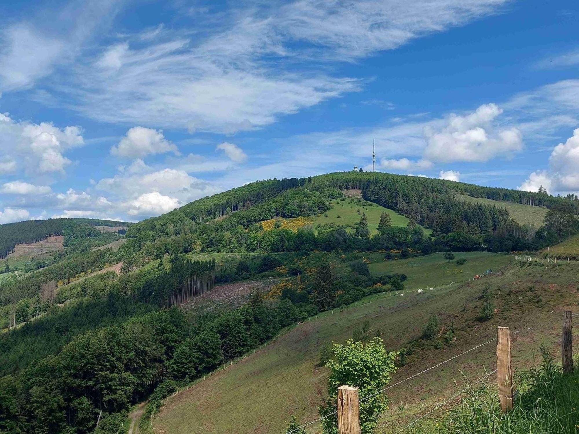 Holiday Apartment With Terrace In Winterberg Exteriör bild