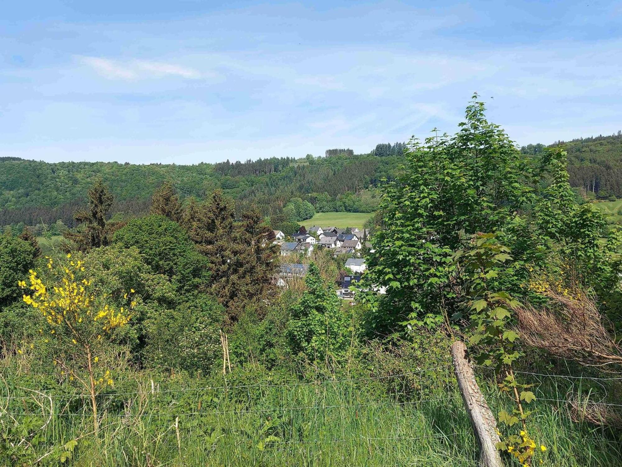 Holiday Apartment With Terrace In Winterberg Exteriör bild